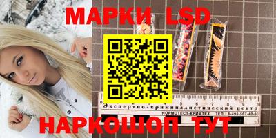 меф Кингисепп