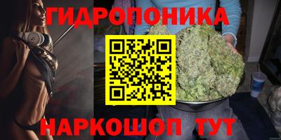 меф Кингисепп