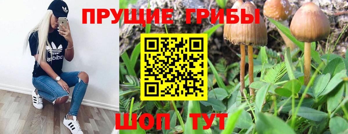 Псилоцибиновые грибы прущие грибы Тихорецк