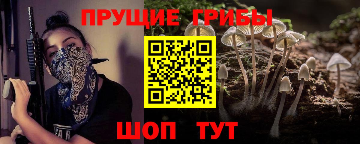 Тихорецк  Галлюциногенные грибы прущие грибы  Вход с VPN 